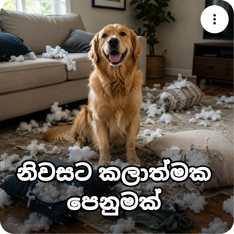 Sample Meem AI sticker 8